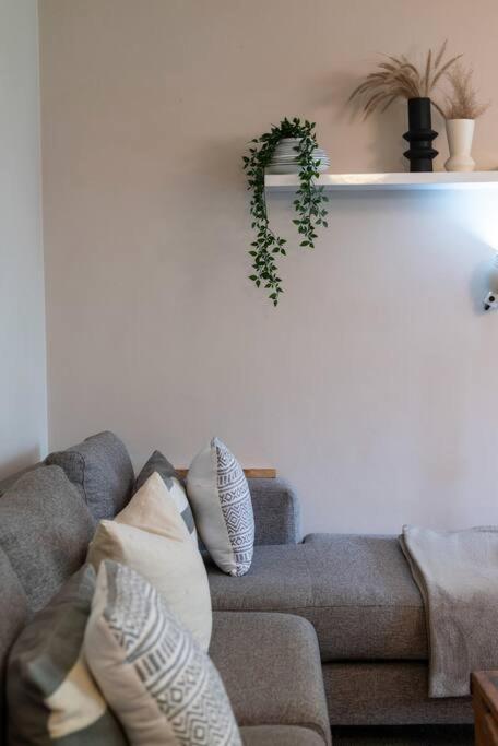 Apartment 2 Bedroom Opposite Company Gardens *