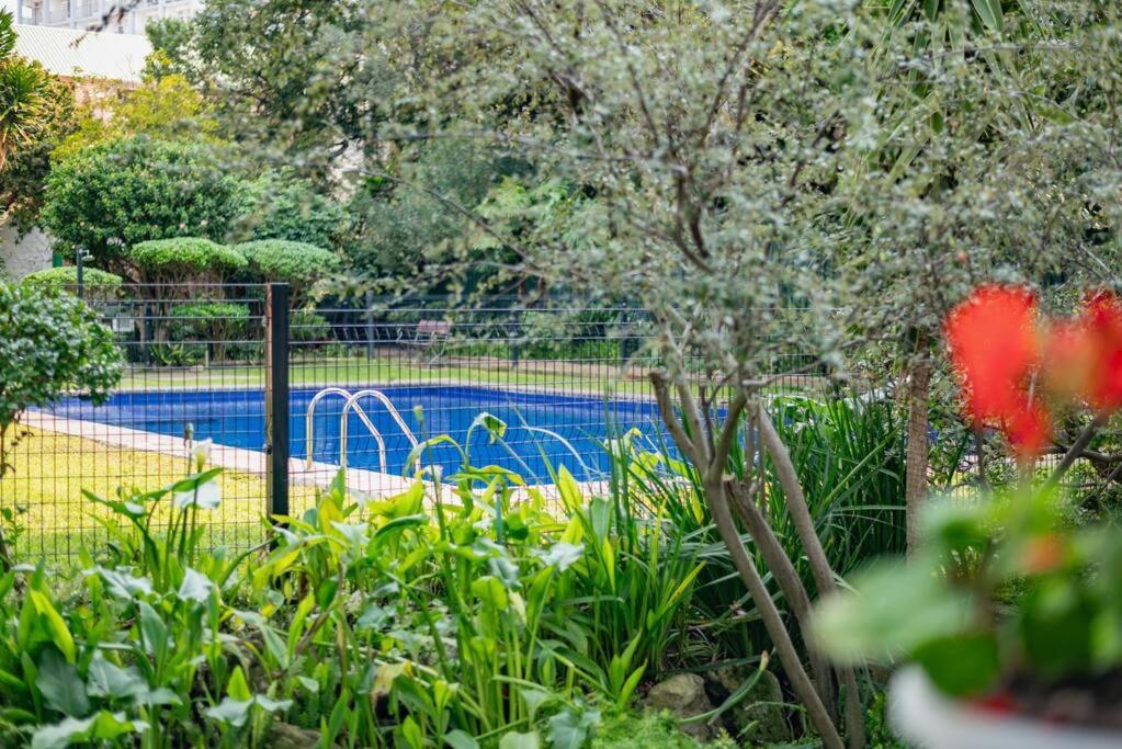 Apartment 2 Bedroom Opposite Company Gardens