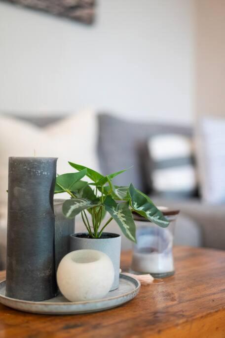 2 Bedroom Opposite Company Gardens Apartment Cape Town